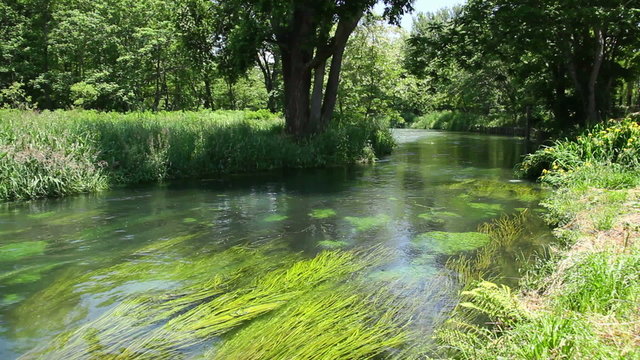 Green stream