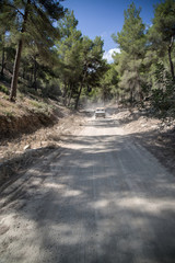 Fototapeta na wymiar Off roading on road through dense foliage on Mediteranean island