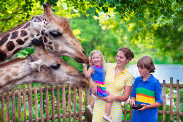 Family feeding giraffe in a zoo - obrazy, fototapety, plakaty