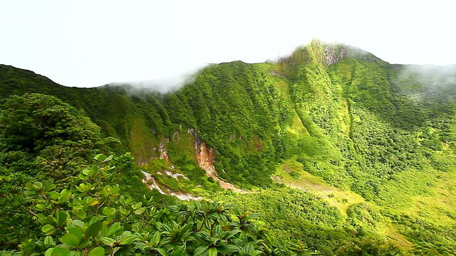 Saint Kitts Rainforest Crater
