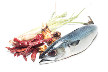 Fresh fish Mackerel, tuna, saba, on a white background