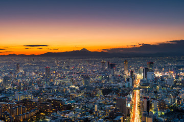 Fototapeta na wymiar Sunset over Tokyo