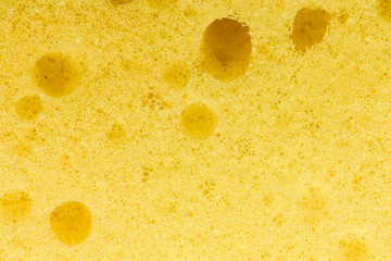 sponge