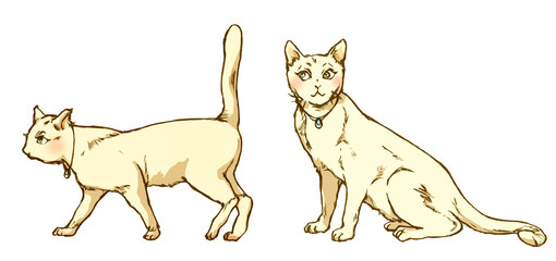 猫 - cat（漫画タッチ）
