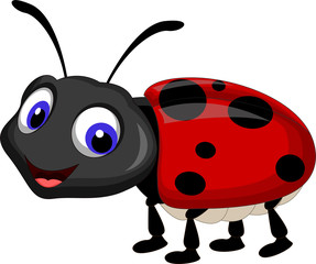 Fototapeta na wymiar Ladybug cartoon