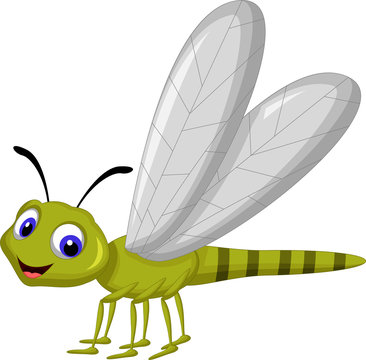 Cartoon Dragonflies Images – Browse 13,908 Stock Photos, Vectors, and Video  | Adobe Stock