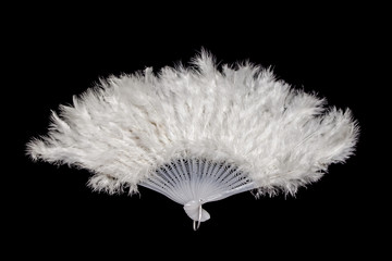 Feather Fan