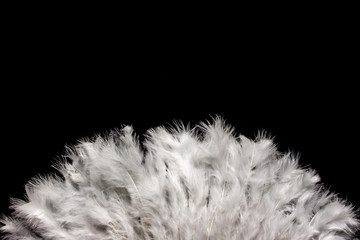Feather Fan