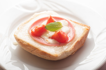 Toasted cheese and ham sandwich