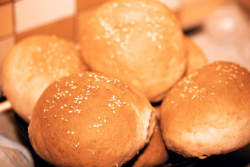 Dinner Buns