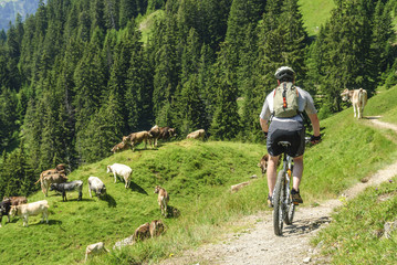 Bike-Tour im Gebirge