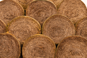 Bales, staw