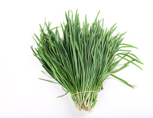 Garlic chives