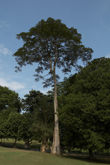 모리셔스이미지