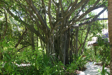 모리셔스이미지