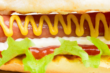 Appetizing hot dog
