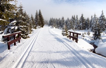 wintry landscape with modified cross country skiing way