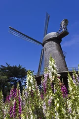Fotobehang San Francisco Dutch Windmill © greta gabaglio