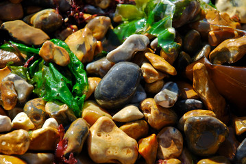 Wet beach pebbles on the Isle of Wight in the daylight Sun