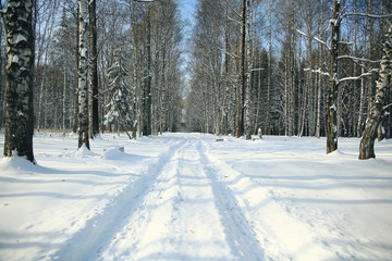 Fototapeta na wymiar Winter road in snowy forest landscape