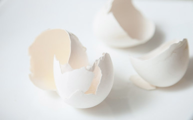 Eggshell