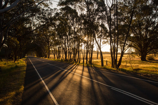 Australian Country Road at Sunset