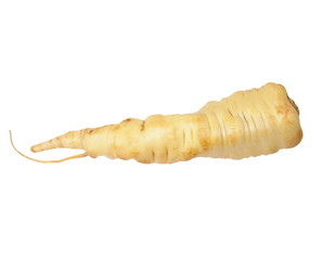 Parsley root isolated on white background