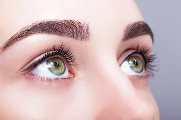 Foto op Aluminium female eye zone and brows with day makeup © Serg Zastavkin