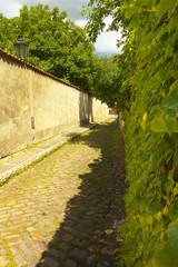 The Street