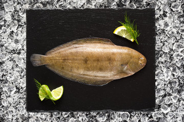 Sole fish on ice on a black stone plate top view - 79026923