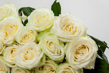 Bouquet of beautiful tea-roses