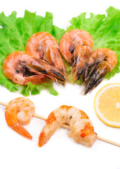 Shrimps close up