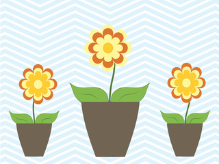 Summer spring colorful flowers in pot cosy home vector