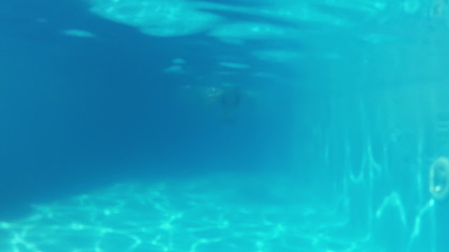 Pretty girl in bikini swimming in the pool underwater