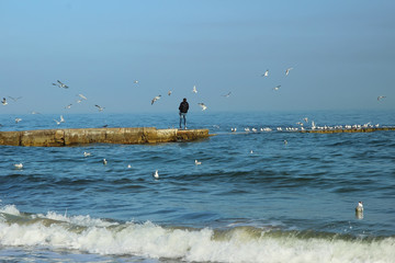 Young man feeding seagulls on the sea