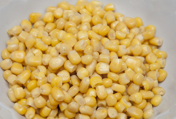 зерна кукурузы