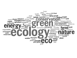 Conceptual ecology word cloud