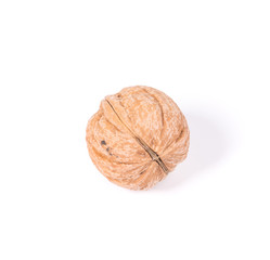 Whole walnut.