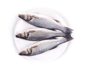 fresh seabass fish on plate