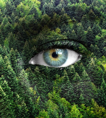 Fototapeta premium Green forest and human eyes - Save nature concept