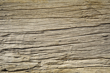 Old wood background