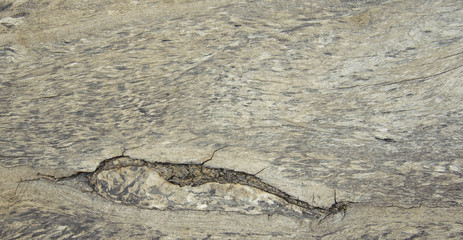 Old wood background