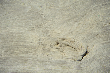 Old wood background