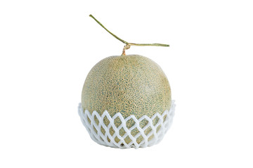 Net foam  wrap Melon on white background