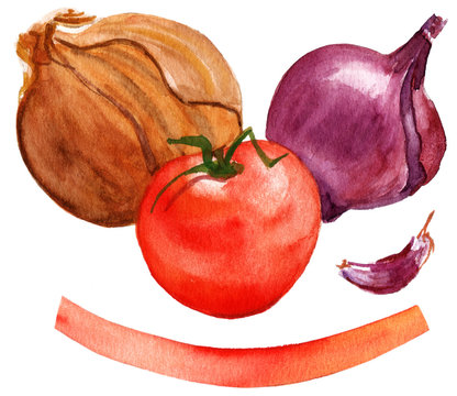 Drawing of two onions, garlic, tomato,banner on white background