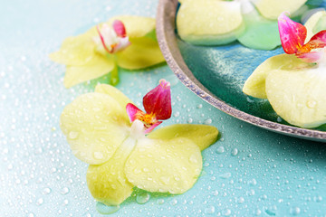 Beautiful orchid flowers in water close-up
