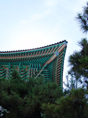 Fototapeta premium 한국전통이미지