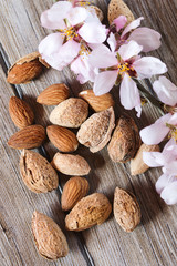 Almonds and flower tree in a wooden background