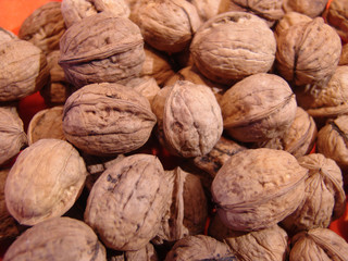 한국전통이미지