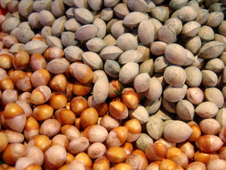 한국전통이미지